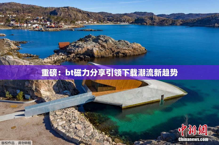 重磅：bt磁力分享引领下载潮流新趋势