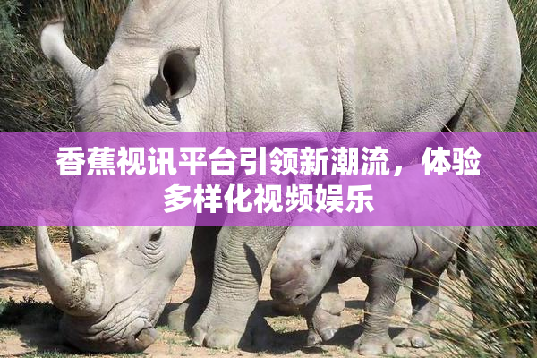 香蕉视讯平台引领新潮流，体验多样化视频娱乐