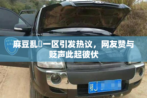 麻豆乱婬一区引发热议，网友赞与贬声此起彼伏