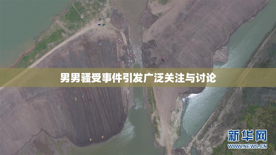 男男骚受事件引发广泛关注与讨论