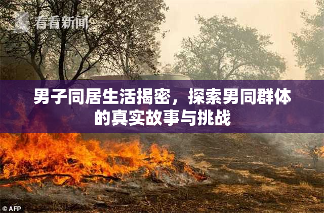 男子同居生活揭密，探索男同群体的真实故事与挑战