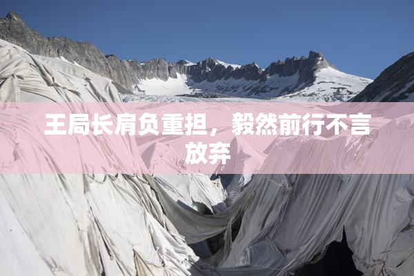 王局长肩负重担，毅然前行不言放弃