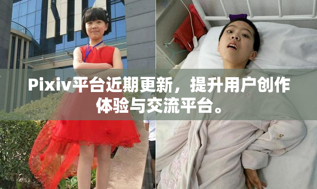 Pixiv平台近期更新，提升用户创作体验与交流平台。