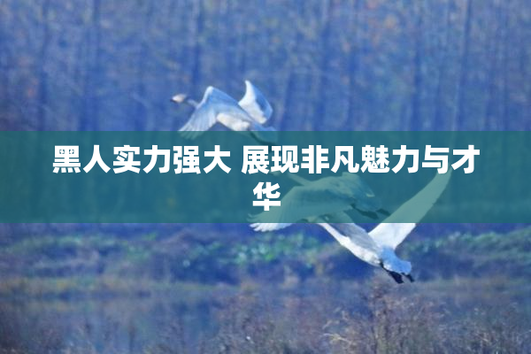 黑人实力强大 展现非凡魅力与才华