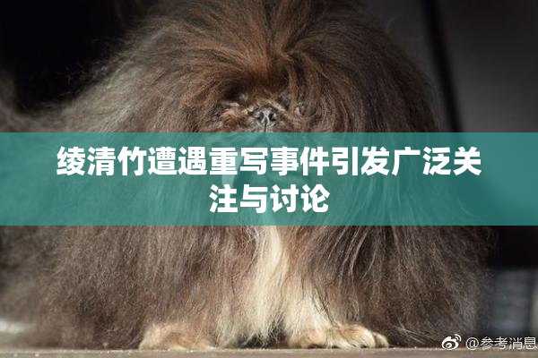 绫清竹遭遇重写事件引发广泛关注与讨论
