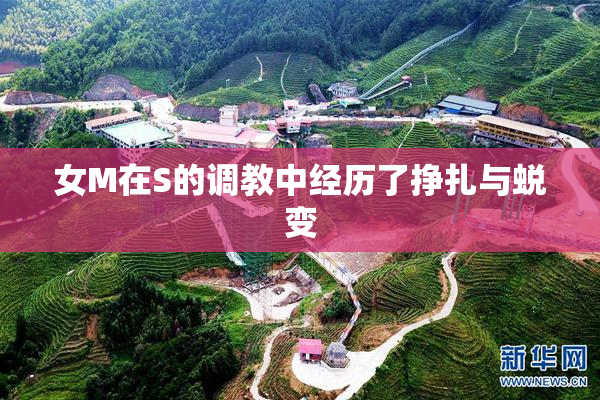 女M在S的调教中经历了挣扎与蜕变