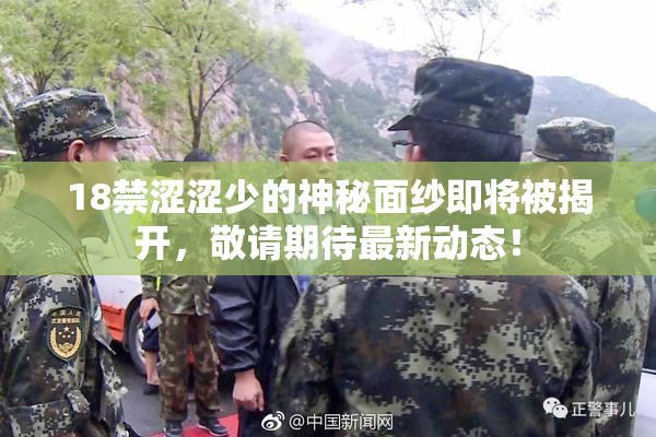 18禁涩涩少的神秘面纱即将被揭开，敬请期待最新动态！