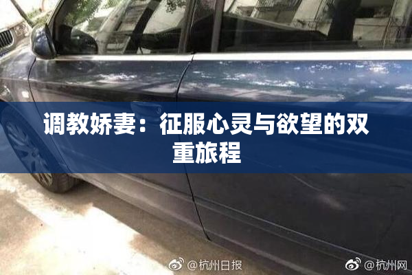调教娇妻：征服心灵与欲望的双重旅程