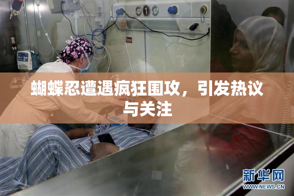 蝴蝶忍遭遇疯狂围攻，引发热议与关注