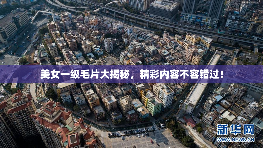 美女一级毛片大揭秘，精彩内容不容错过！