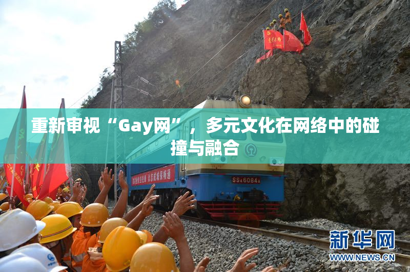 重新审视“Gay网”，多元文化在网络中的碰撞与融合