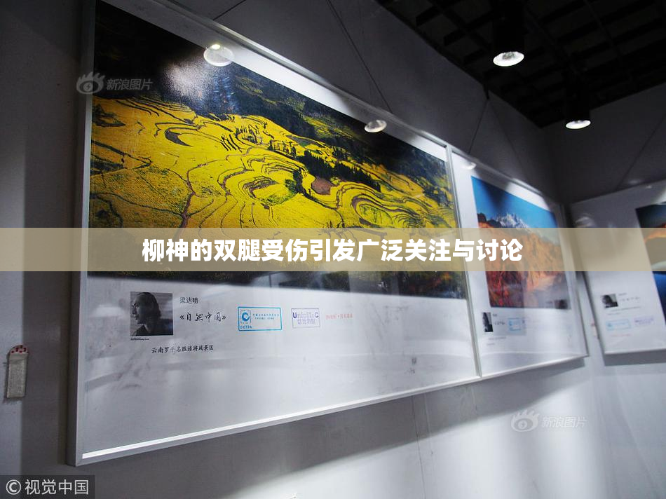 柳神的双腿受伤引发广泛关注与讨论