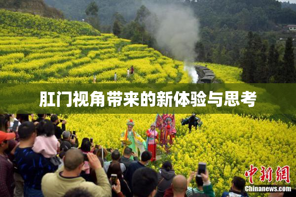 肛门视角带来的新体验与思考