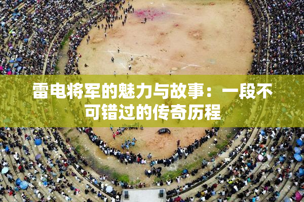 雷电将军的魅力与故事：一段不可错过的传奇历程