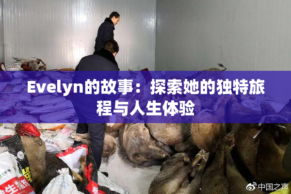 Evelyn的故事：探索她的独特旅程与人生体验