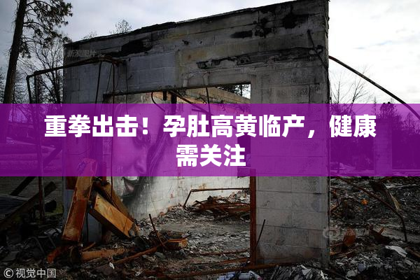 重拳出击！孕肚高黄临产，健康需关注