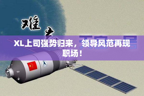 XL上司强势归来，领导风范再现职场！