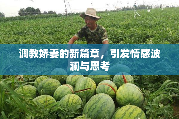 调教娇妻的新篇章，引发情感波澜与思考