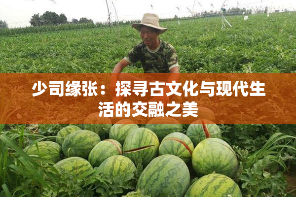 少司缘张：探寻古文化与现代生活的交融之美