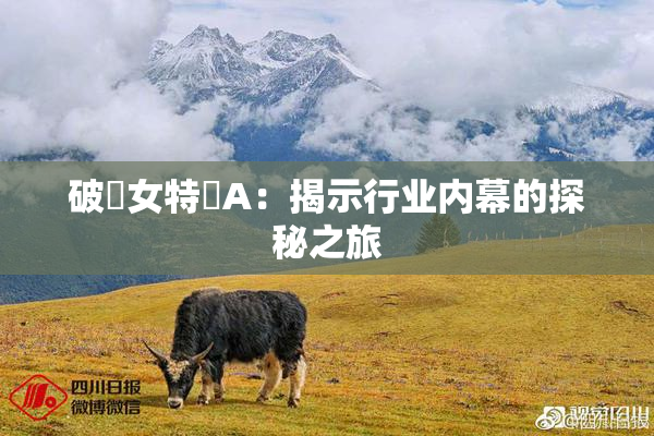 破處女特級A：揭示行业内幕的探秘之旅