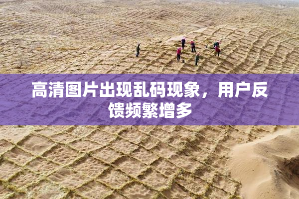 高清图片出现乱码现象，用户反馈频繁增多