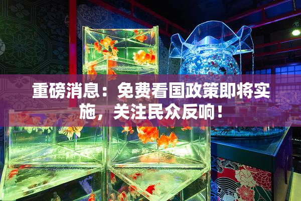 重磅消息：免费看国政策即将实施，关注民众反响！