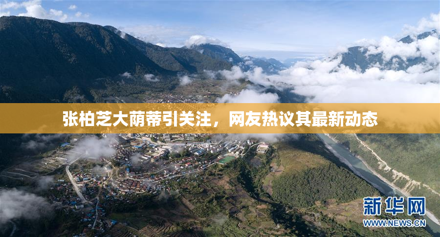 张柏芝大荫蒂引关注，网友热议其最新动态