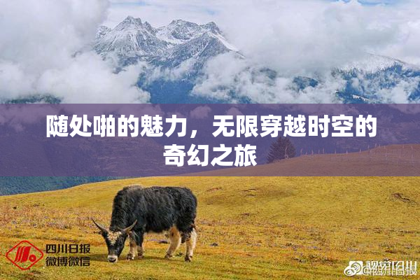 随处啪的魅力，无限穿越时空的奇幻之旅