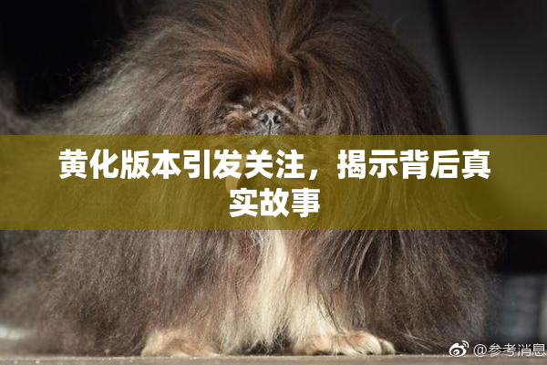 黄化版本引发关注，揭示背后真实故事