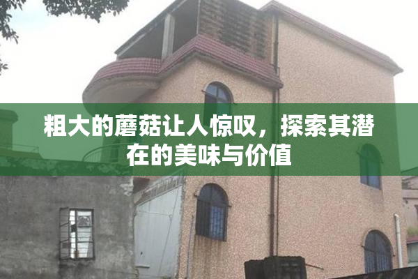 粗大的蘑菇让人惊叹，探索其潜在的美味与价值