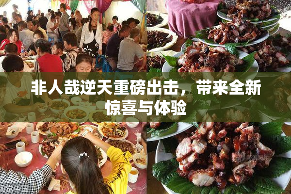 非人哉逆天重磅出击，带来全新惊喜与体验