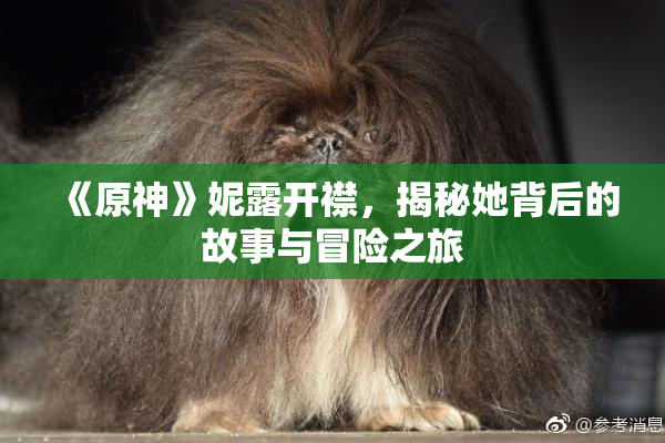 《原神》妮露开襟，揭秘她背后的故事与冒险之旅