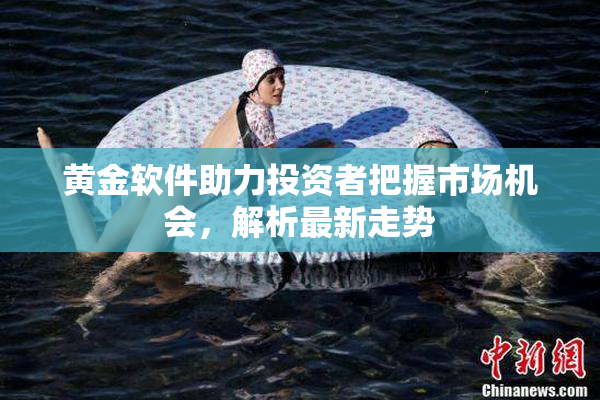 黄金软件助力投资者把握市场机会，解析最新走势