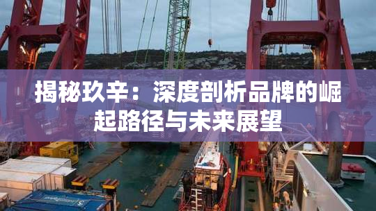 揭秘玖辛：深度剖析品牌的崛起路径与未来展望