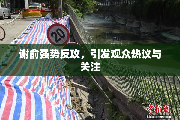 谢俞强势反攻，引发观众热议与关注