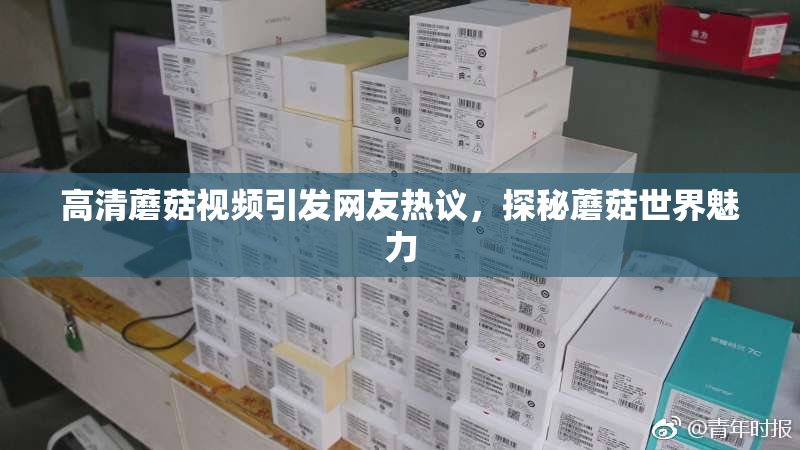 高清蘑菇视频引发网友热议，探秘蘑菇世界魅力