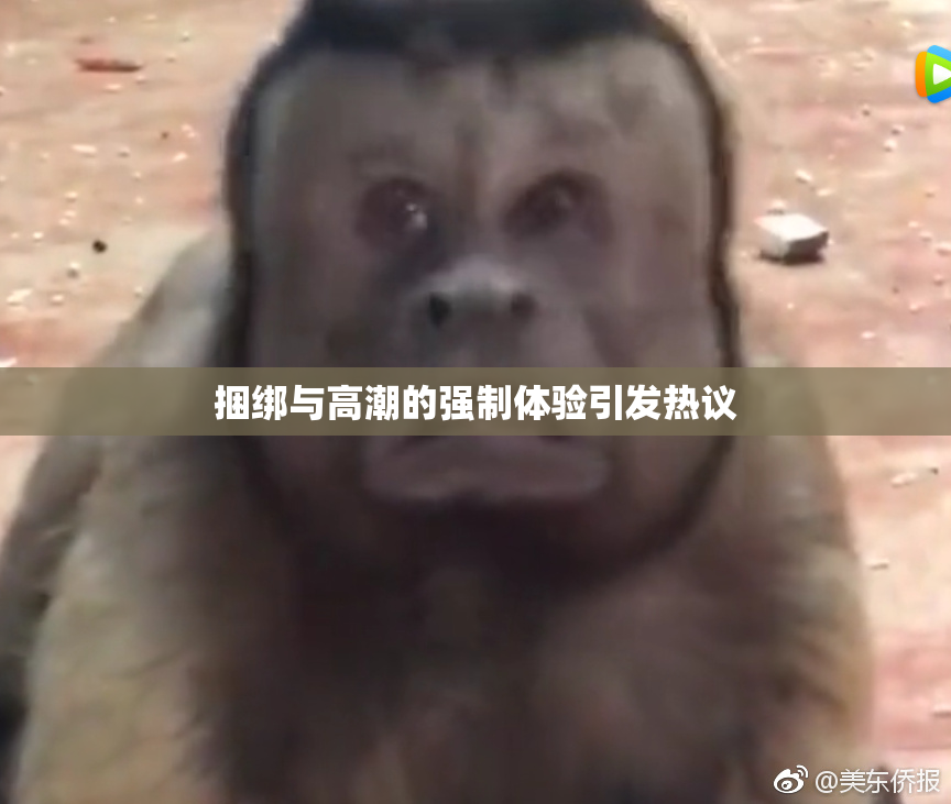 捆绑与高潮的强制体验引发热议