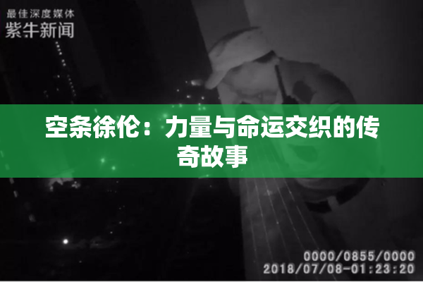 空条徐伦：力量与命运交织的传奇故事