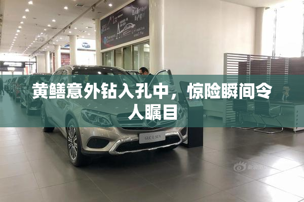 黄鳝意外钻入孔中，惊险瞬间令人瞩目