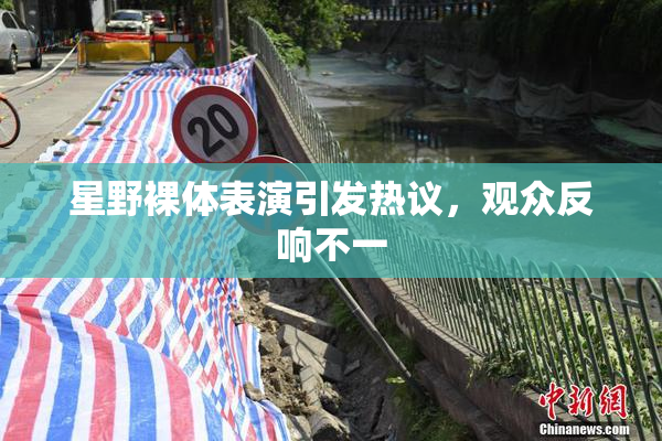 星野裸体表演引发热议，观众反响不一