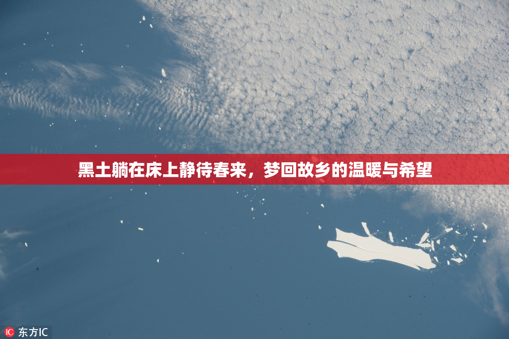 黑土躺在床上静待春来，梦回故乡的温暖与希望