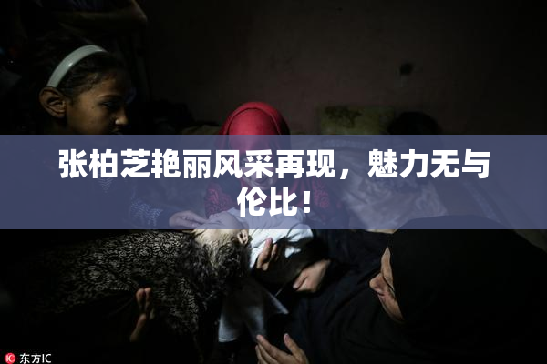 张柏芝艳丽风采再现，魅力无与伦比！
