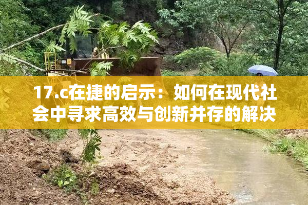 17.c在捷的启示：如何在现代社会中寻求高效与创新并存的解决方案