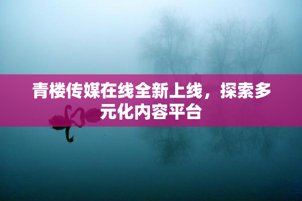 青楼传媒在线全新上线，探索多元化内容平台