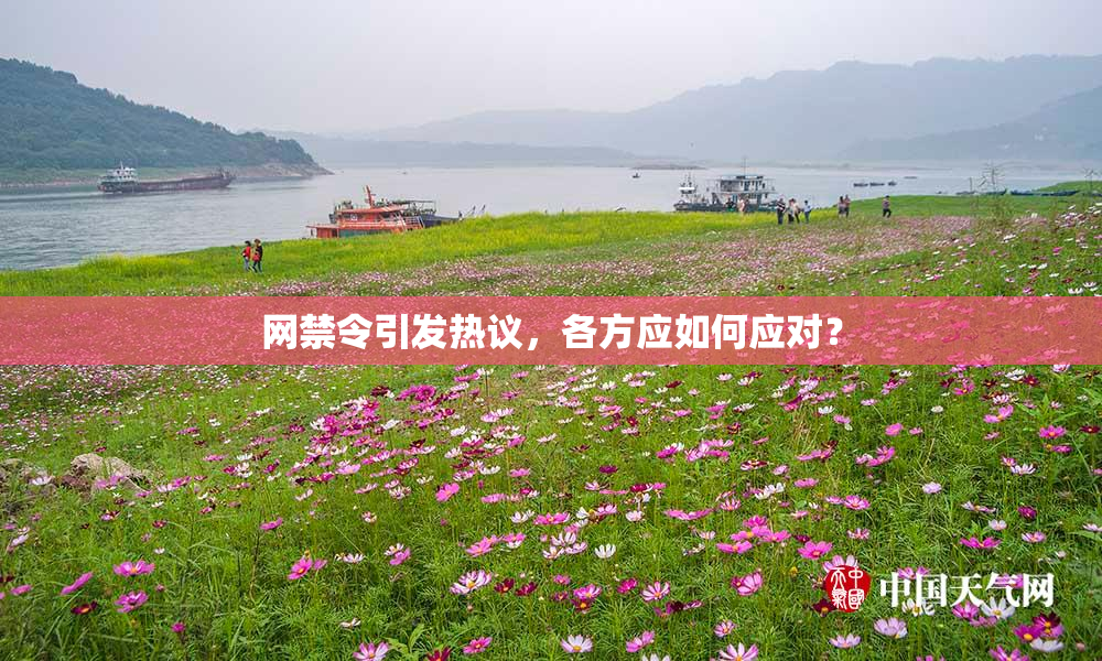 网禁令引发热议，各方应如何应对？