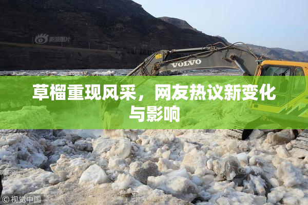 草榴重现风采，网友热议新变化与影响