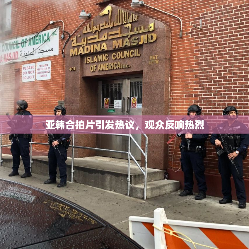 亚韩合拍片引发热议，观众反响热烈