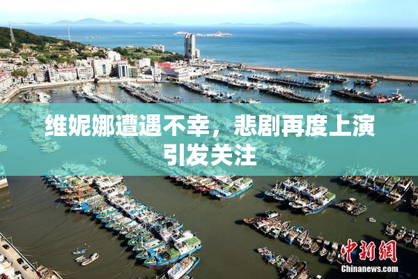 维妮娜遭遇不幸，悲剧再度上演引发关注