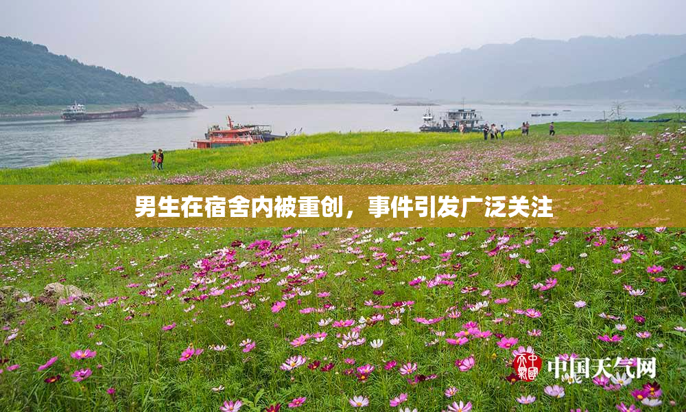 男生在宿舍内被重创，事件引发广泛关注