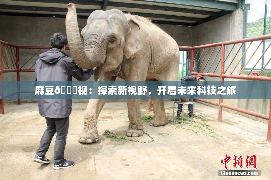 麻豆🔞视：探索新视野，开启未来科技之旅